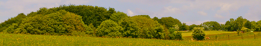 Unteres Banner: Naturnahe Wanderwege