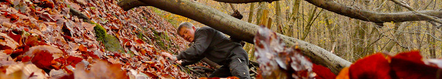Unteres Banner: Naturnahe Wanderwege