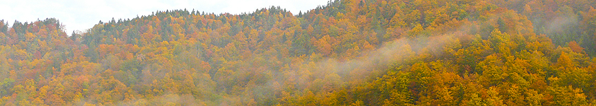Unteres Banner: Naturnahe Wanderwege
